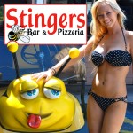stingers_facebook_logo_alt