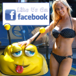 Stingers Facebook Banner